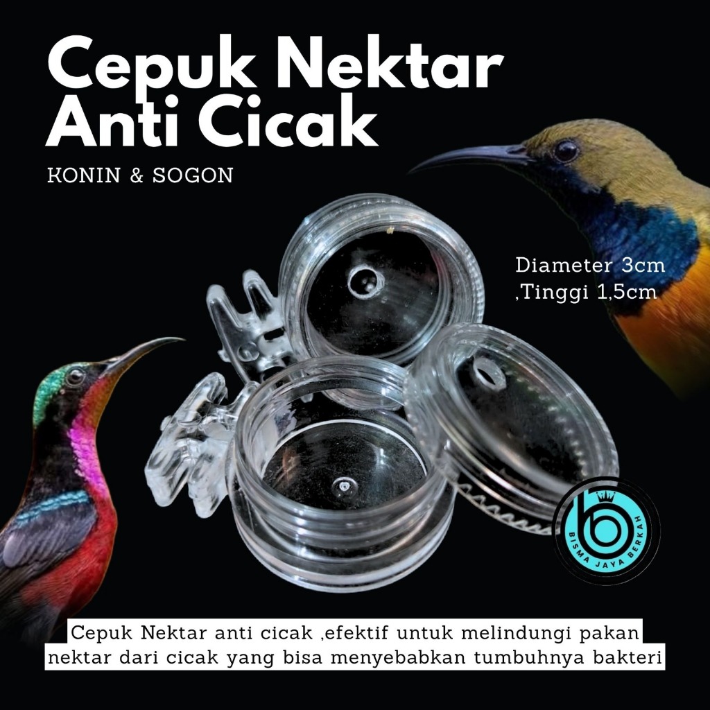 CEPUK NEKTAR ANTI CICAK CEPUK KONIN SOGON EXCLUSIVE