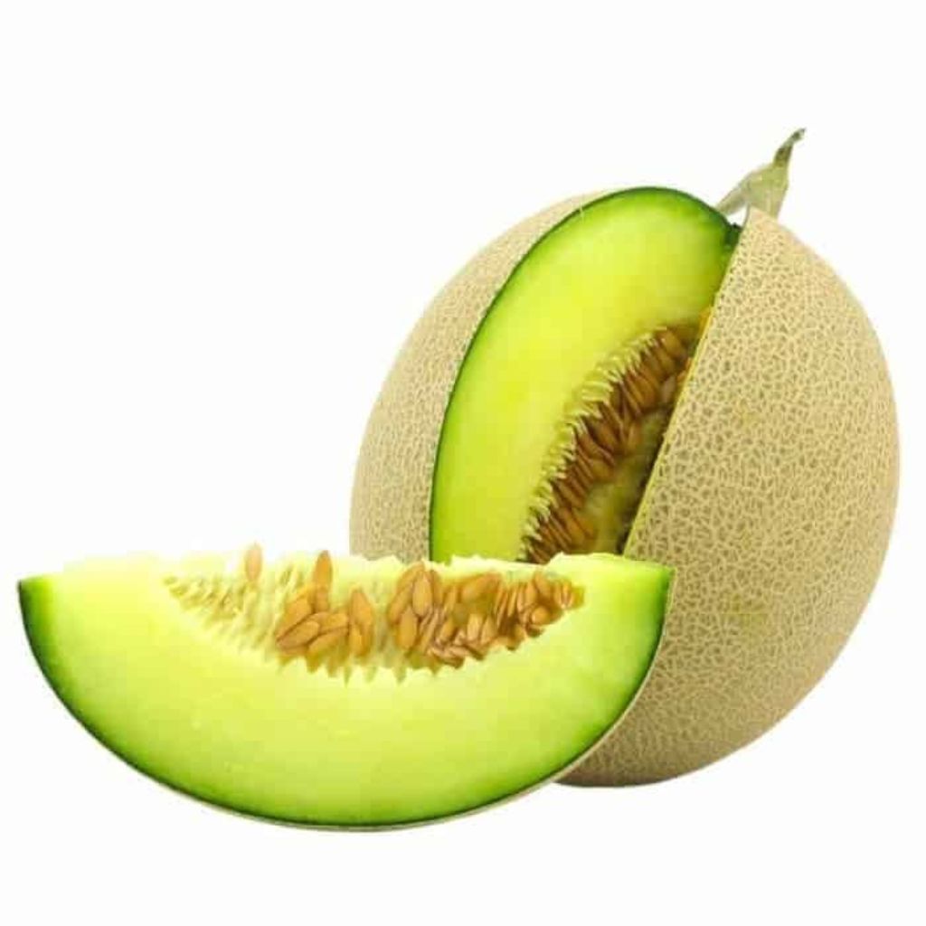 ( 100 Butir ) Benih Biji Melon Hijau | Melon Madu | Musk Melon | UKILEAF