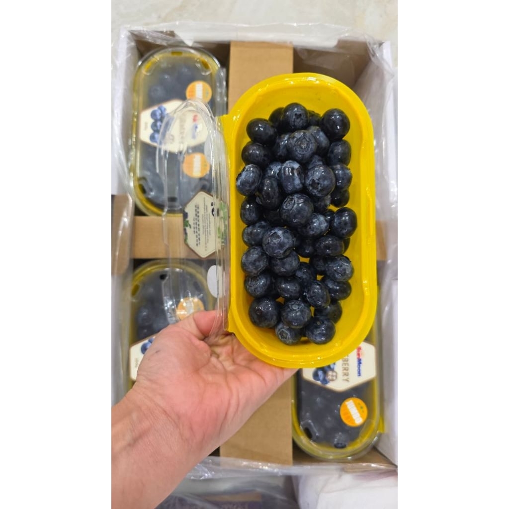 Blueberry Jumbo