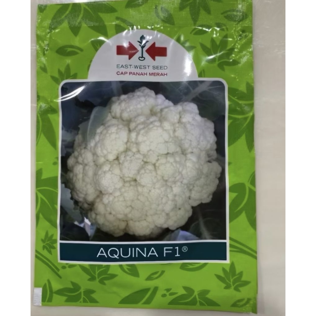 Benih Kembang Aquina Kol Cap Panah Merah
