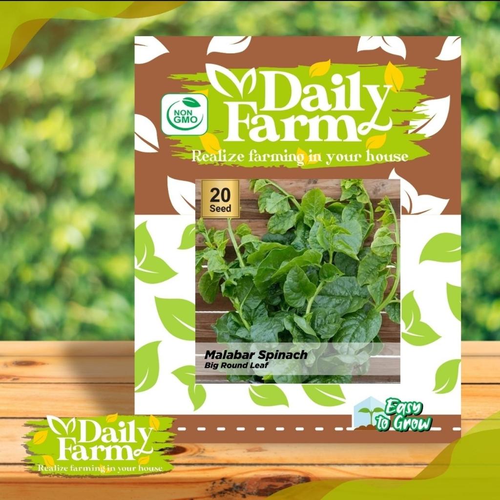 DF Benih Sayur Bayam Malabar / Bayam Binahong / Malabar Spinach Big Round Leaf / Bayam Malabar Hijau