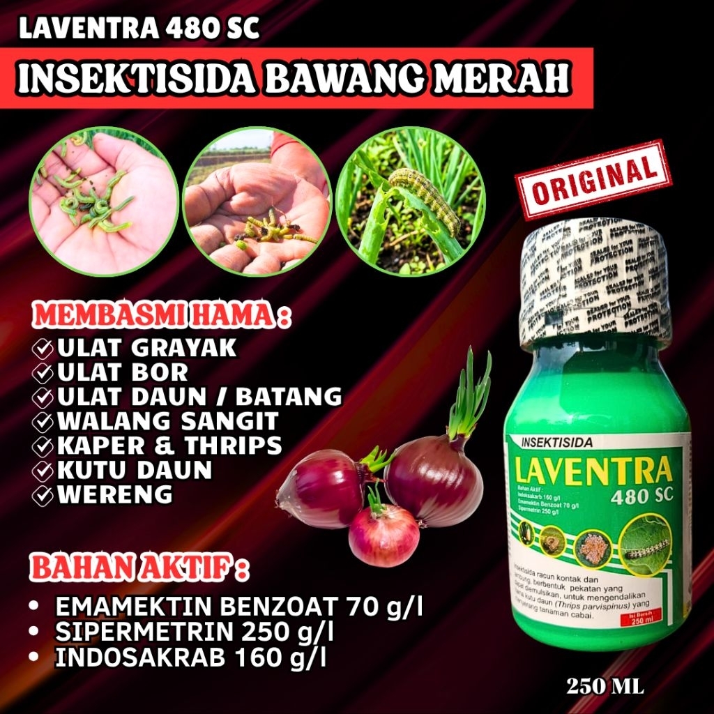 INSEKTISIDA BAWANG AMPUH  Laventra 480 Sc Pembasmi Ulat Grayak Ulat Bor Ulat Daun Wereng Thrips