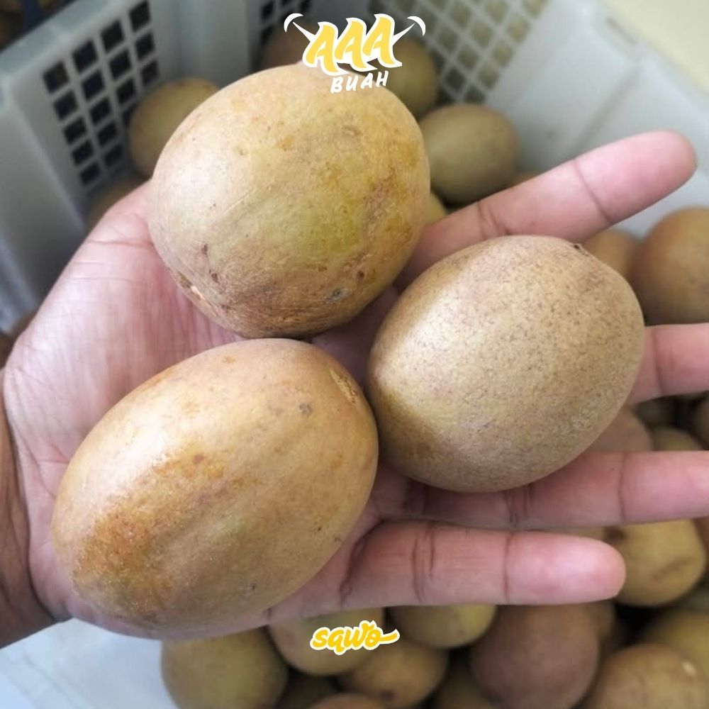 SAWO MADU MANIS SUPER