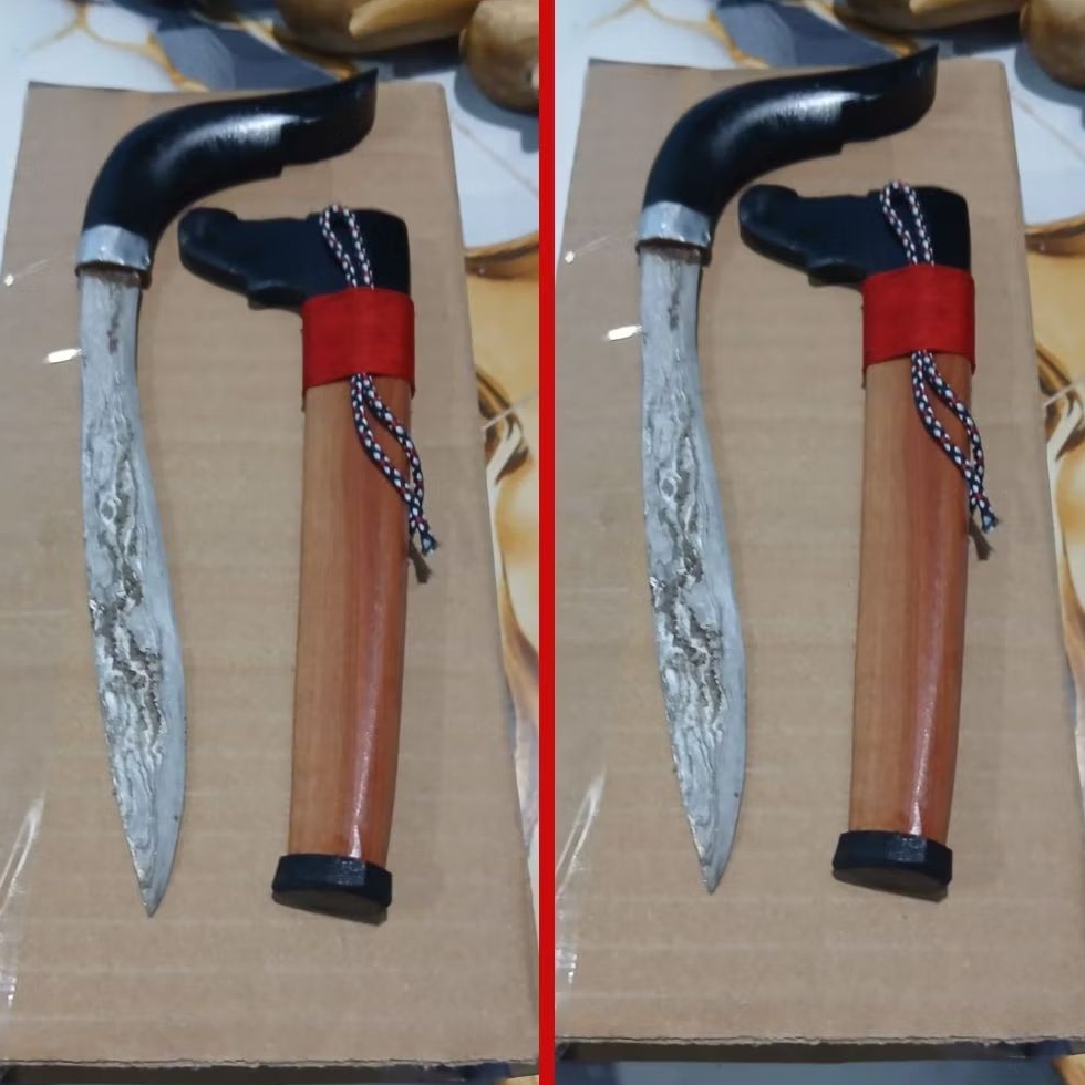 Kawali gecong hitam coklat  Perisisi