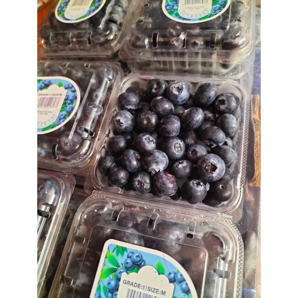 Blueberry Fresh 1 pack