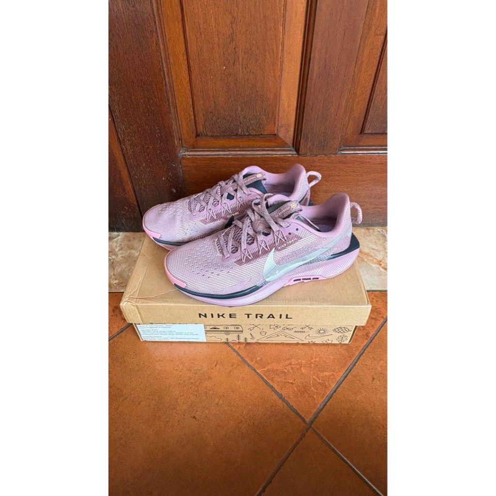 Nike Pegasus Trail 5