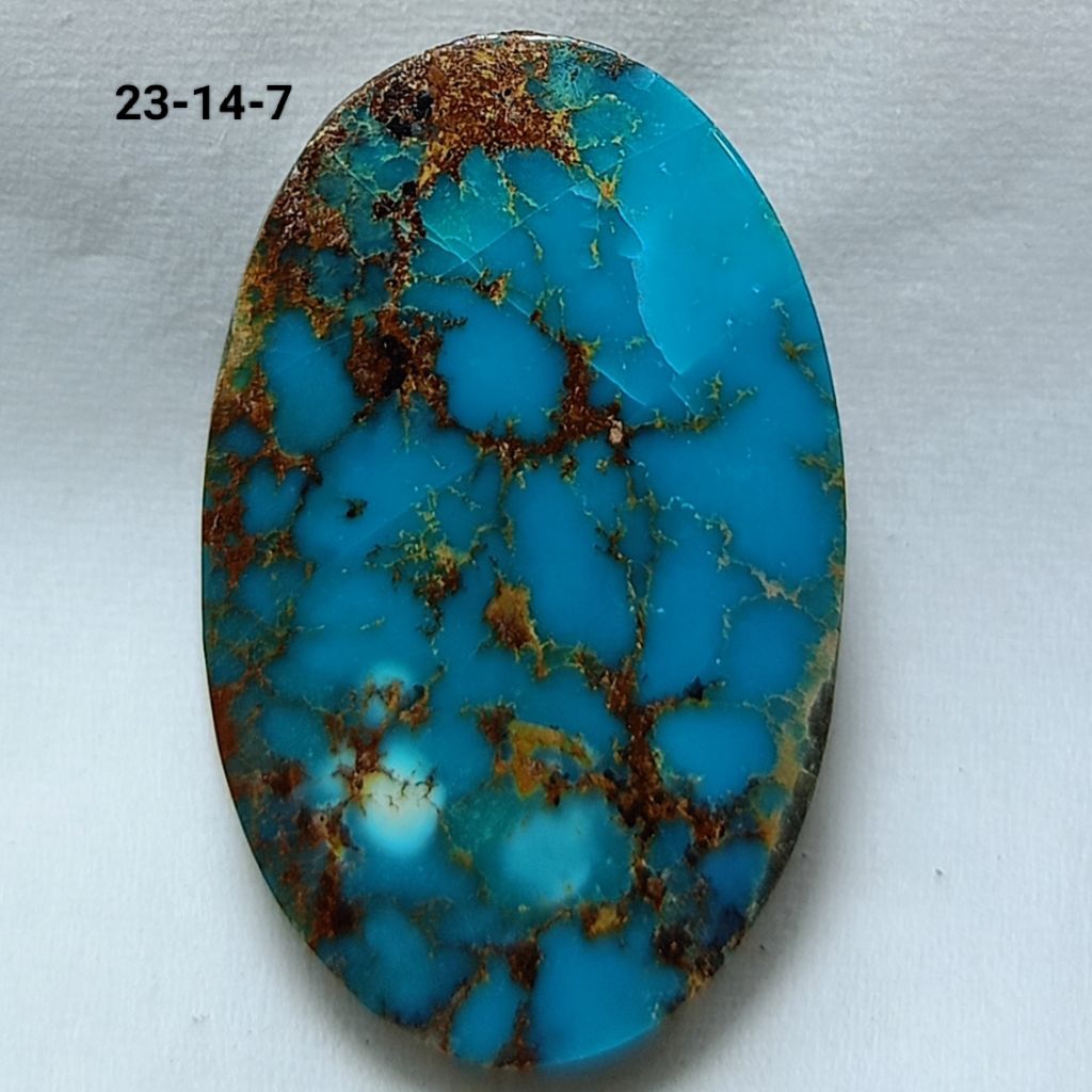PIRUS PERSIA WARNA BIRU