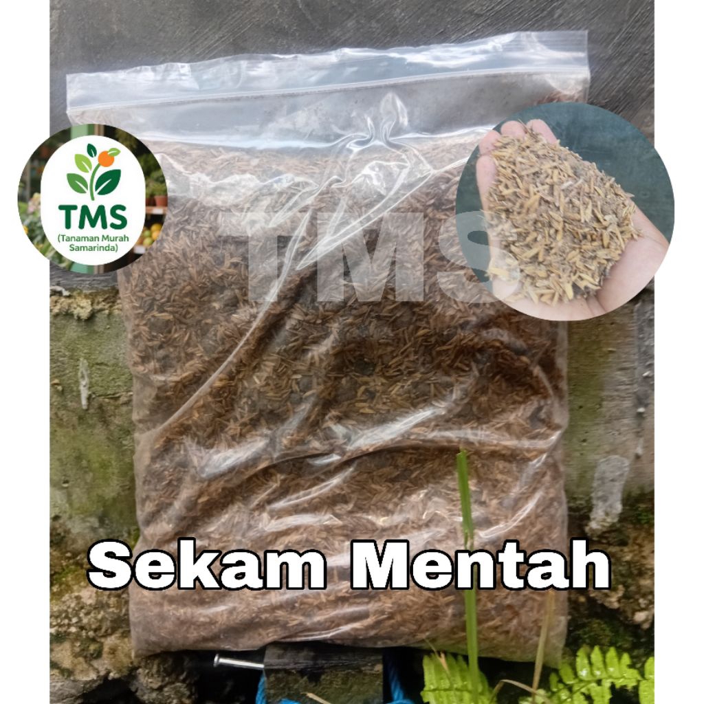 TMS~ Sekam Mentah media tanam sekam mentah