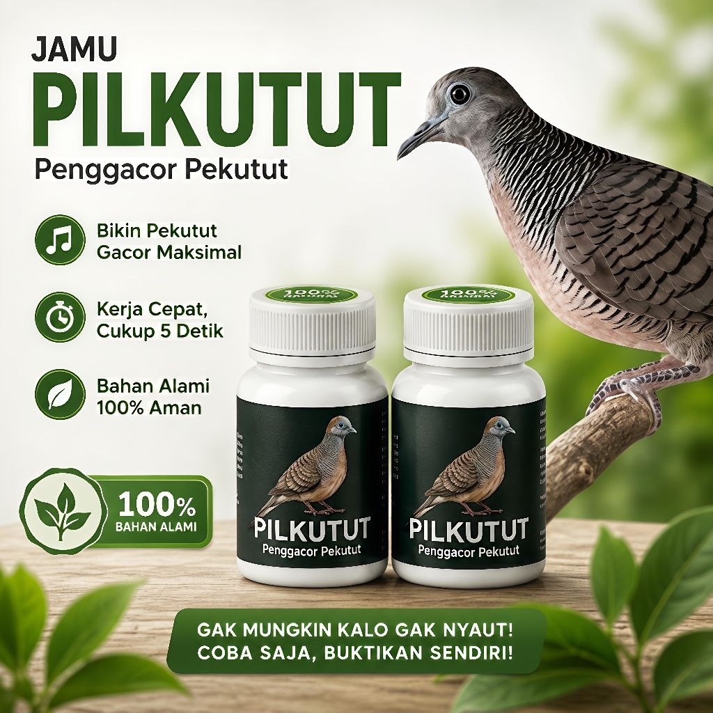 Jamu Perkutut Premium isi 100 PILKUTUT penggacor perkutut lokal dan bangkok