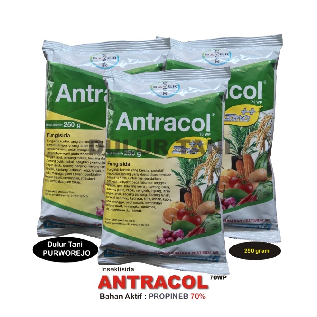 Fungisida ANTRACOL 250 gram