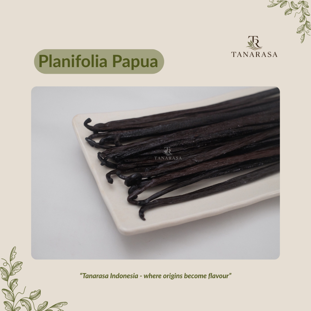 Vanilla Planifolia Papua Grade A