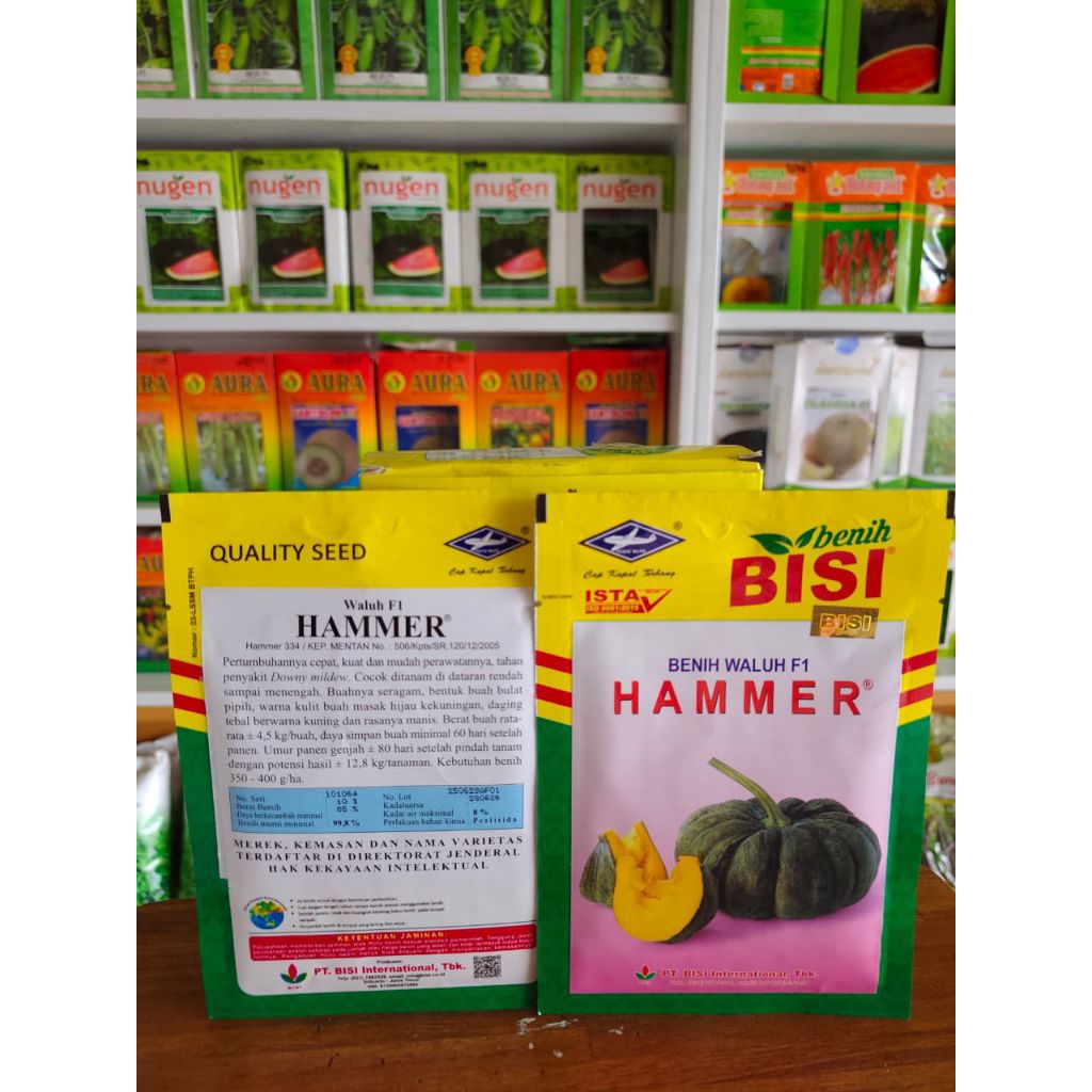 Benih Waluh F1 HAMMER 10gr Cap Kapal Terbang