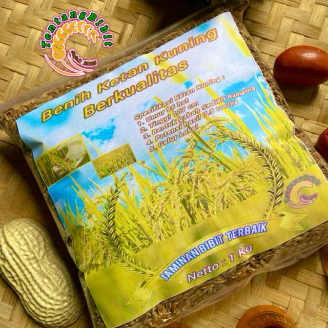 Benih ketan kuning / bibit padi ketan kuning ketan langka 1 kg
