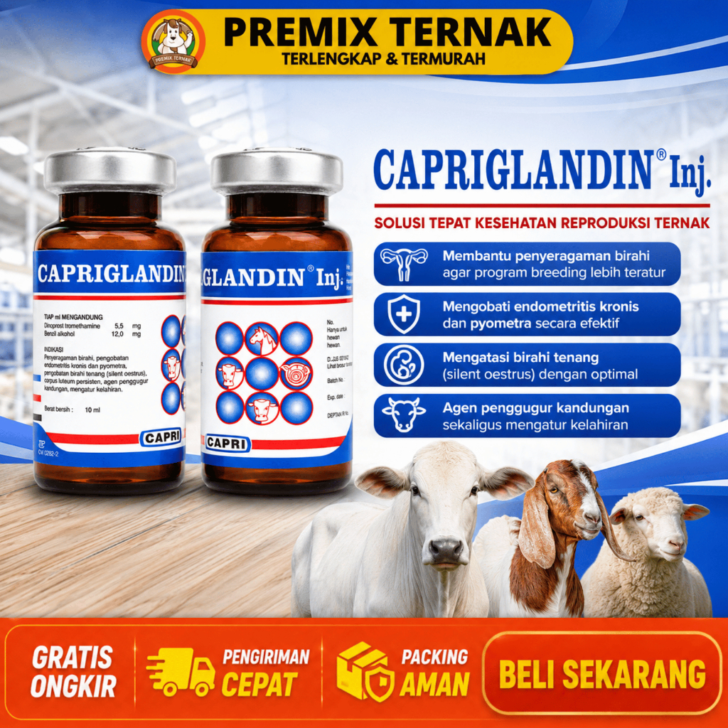 CAPRIGLANDIN INJ 10 ML - Hormon Hewan Sinkronisasi Estrus Ternak Sapi Kambing Domba Kuda Babi SANBE