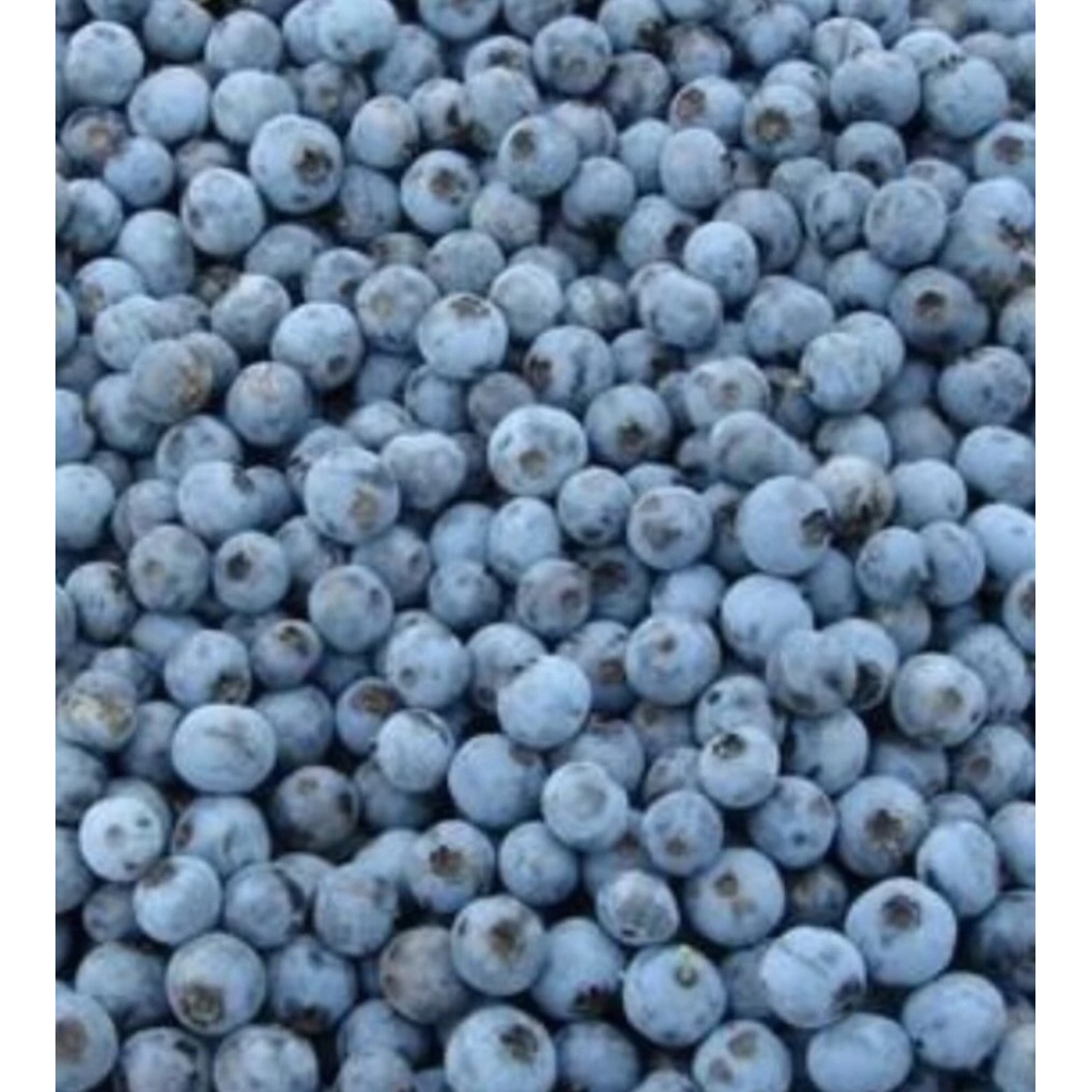 BLUEBERRY FROZEN 1 KG