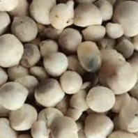 Jamur merang 1kg