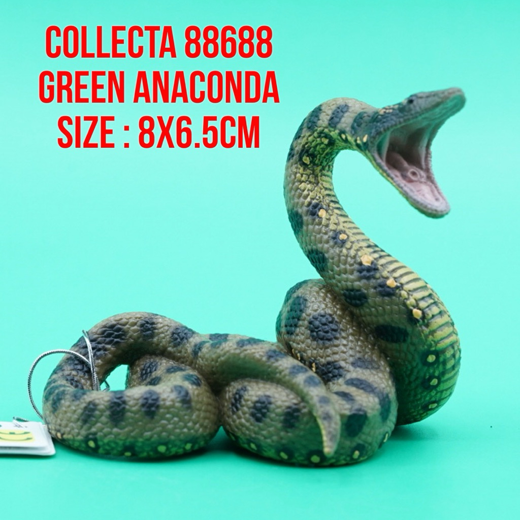 Collecta 88688 Green Anaconda Snake Ular Anakonda Hijau Eunectes Murinus | Mainan Figure Binatang Mi