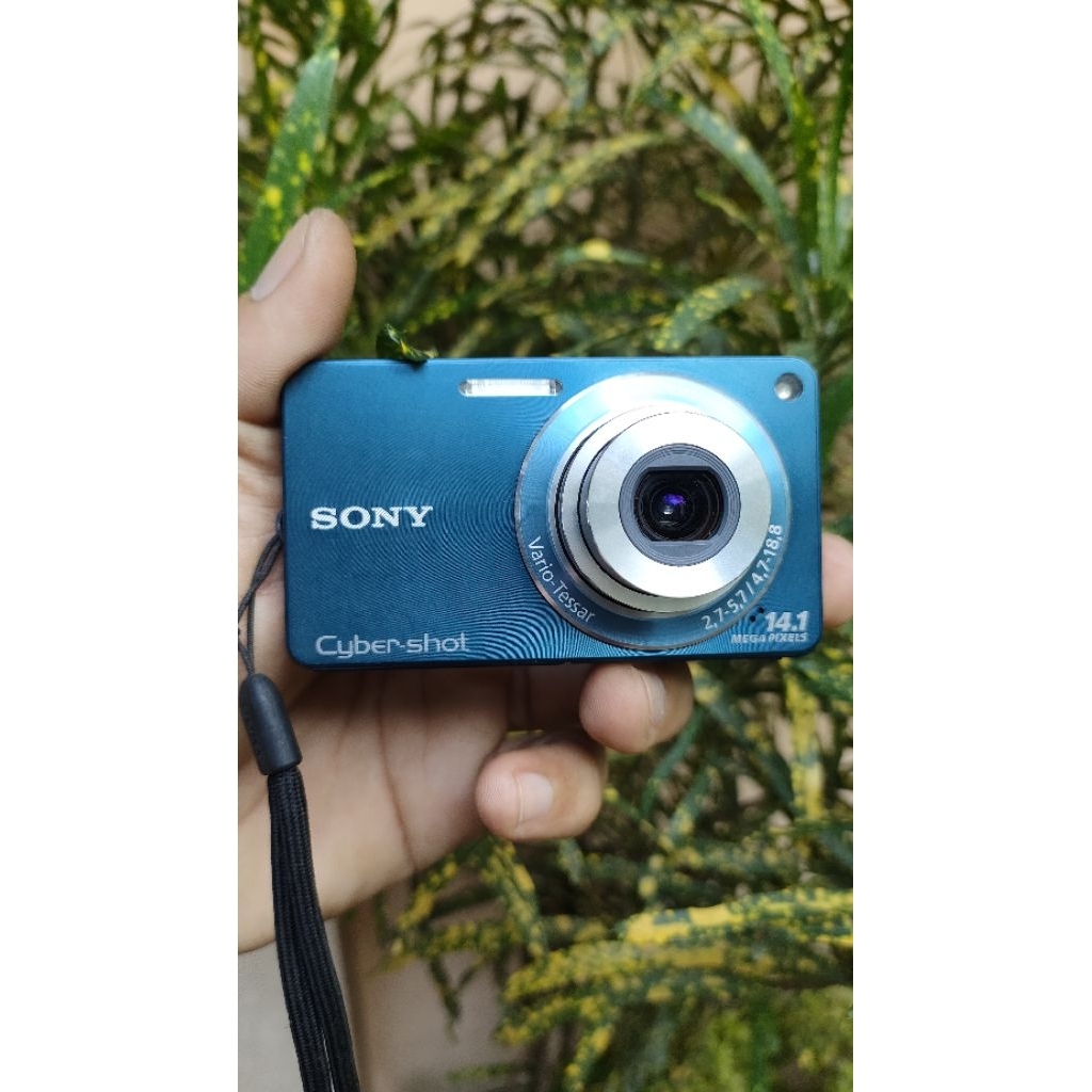 sony dsc-w350