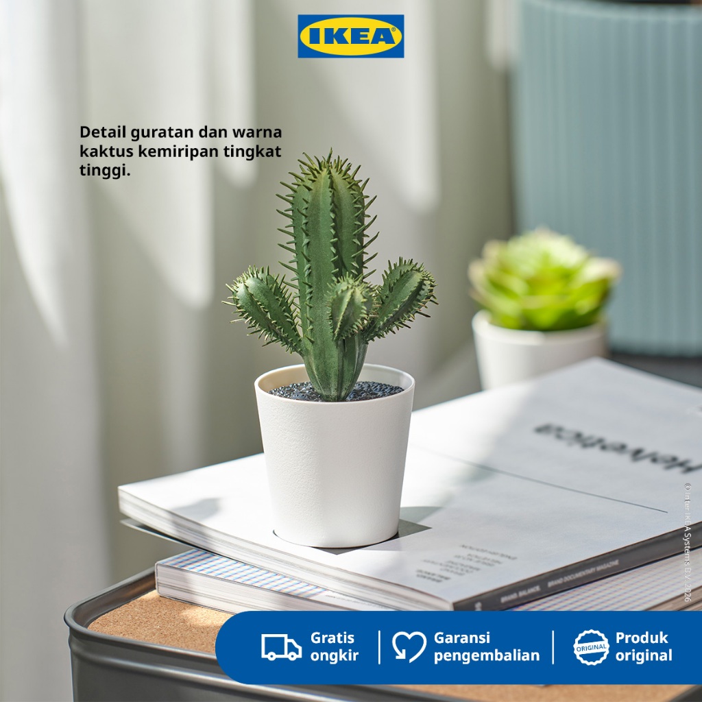 IKEA FEJKA Tanaman Hias Kaktus dengan Pot 6cm