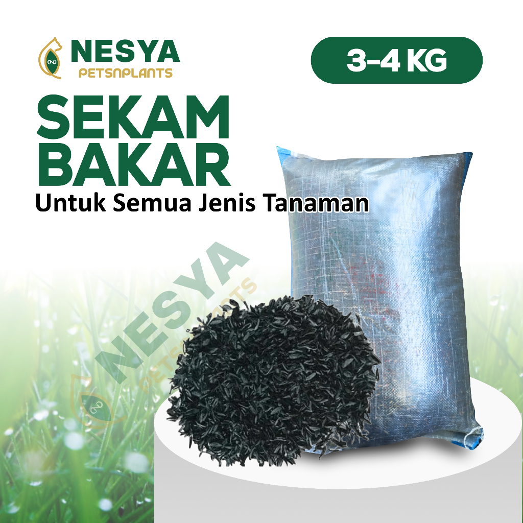 Sekam Bakar Karung Media Tanam Arang Sekam Karung Kecil