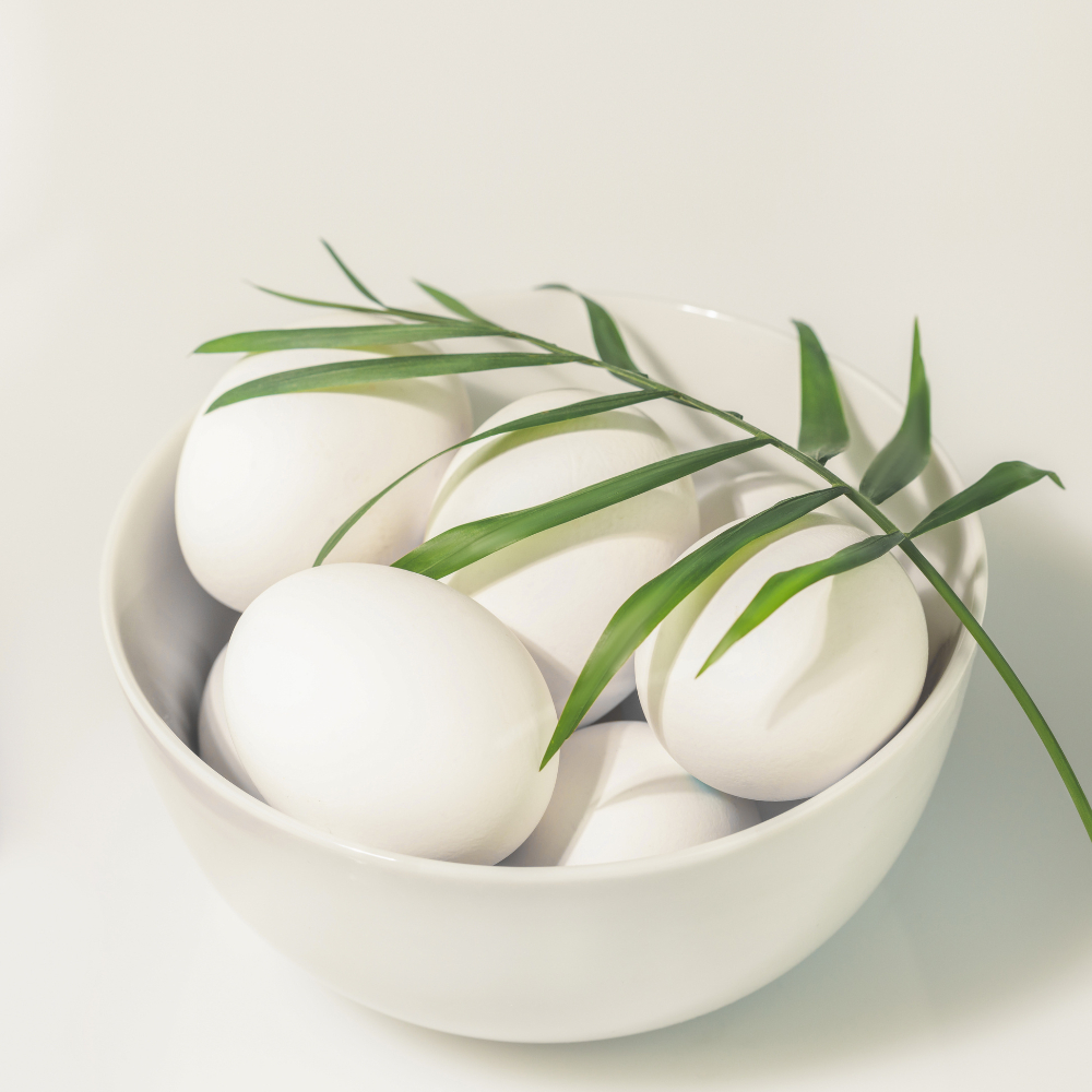 Mangkok Porselen Putih Polos - Mangkok Keramik