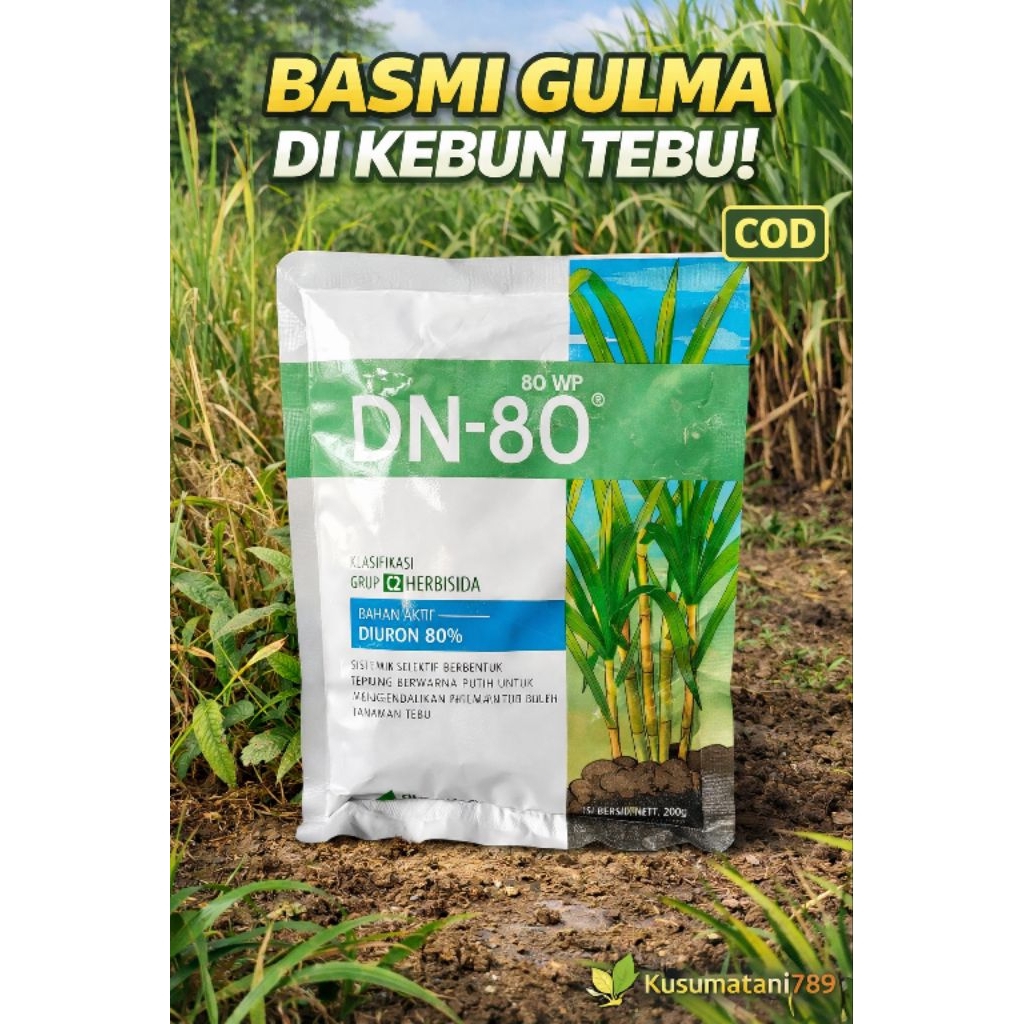 DN-80 80WP herbisida selektif yang aman untuk tanaman tebu.