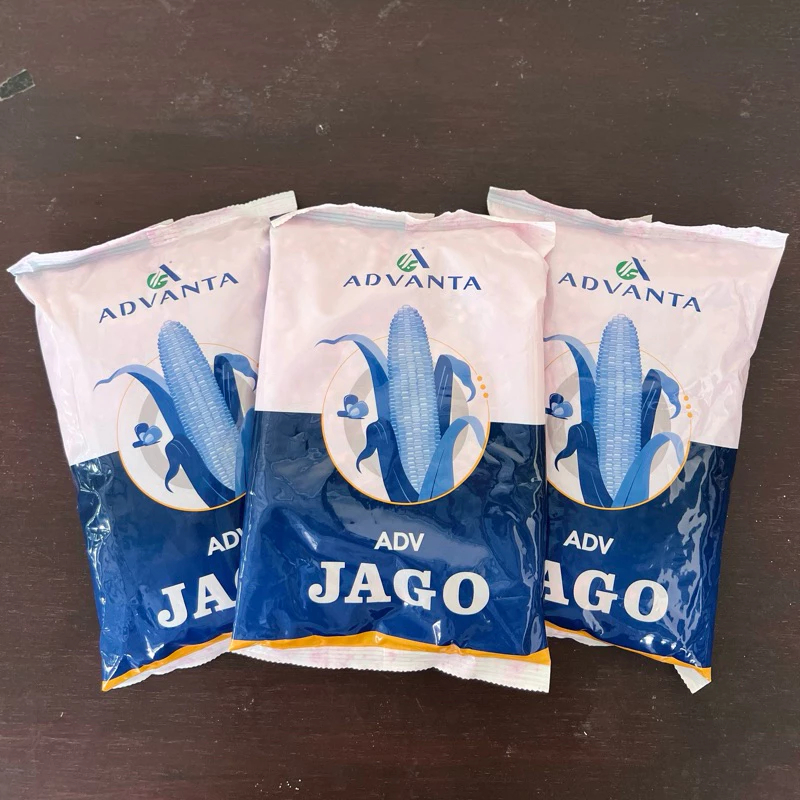 Promon Terbaru <<< Bibit Jagung Unggul ADVANTA Jago 1 KG