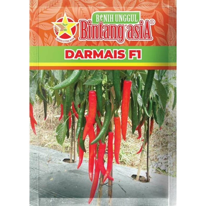 Biji 10 Benih Cabe Besar DARMAIS F1