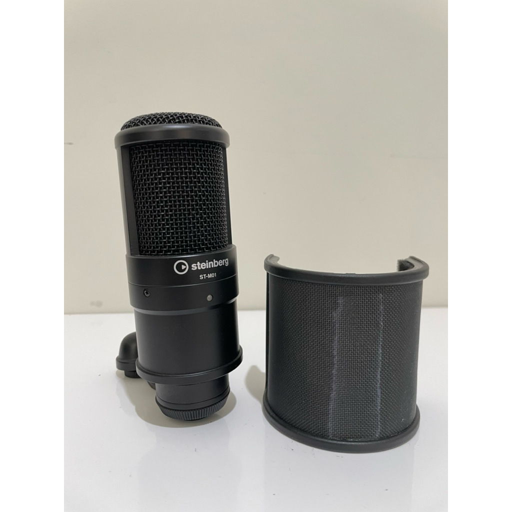 Mic Steinberg ST - M01