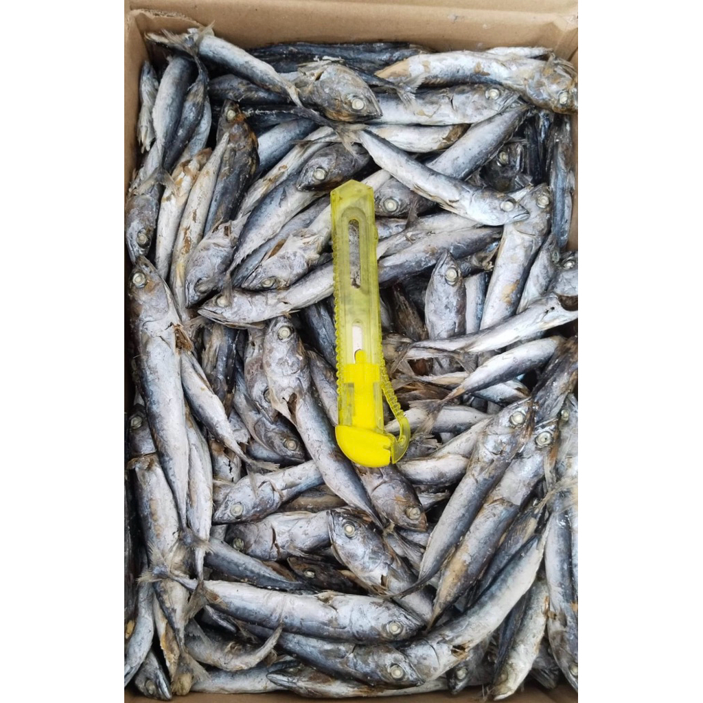 IKAN ASIN TONGKOL REBUS