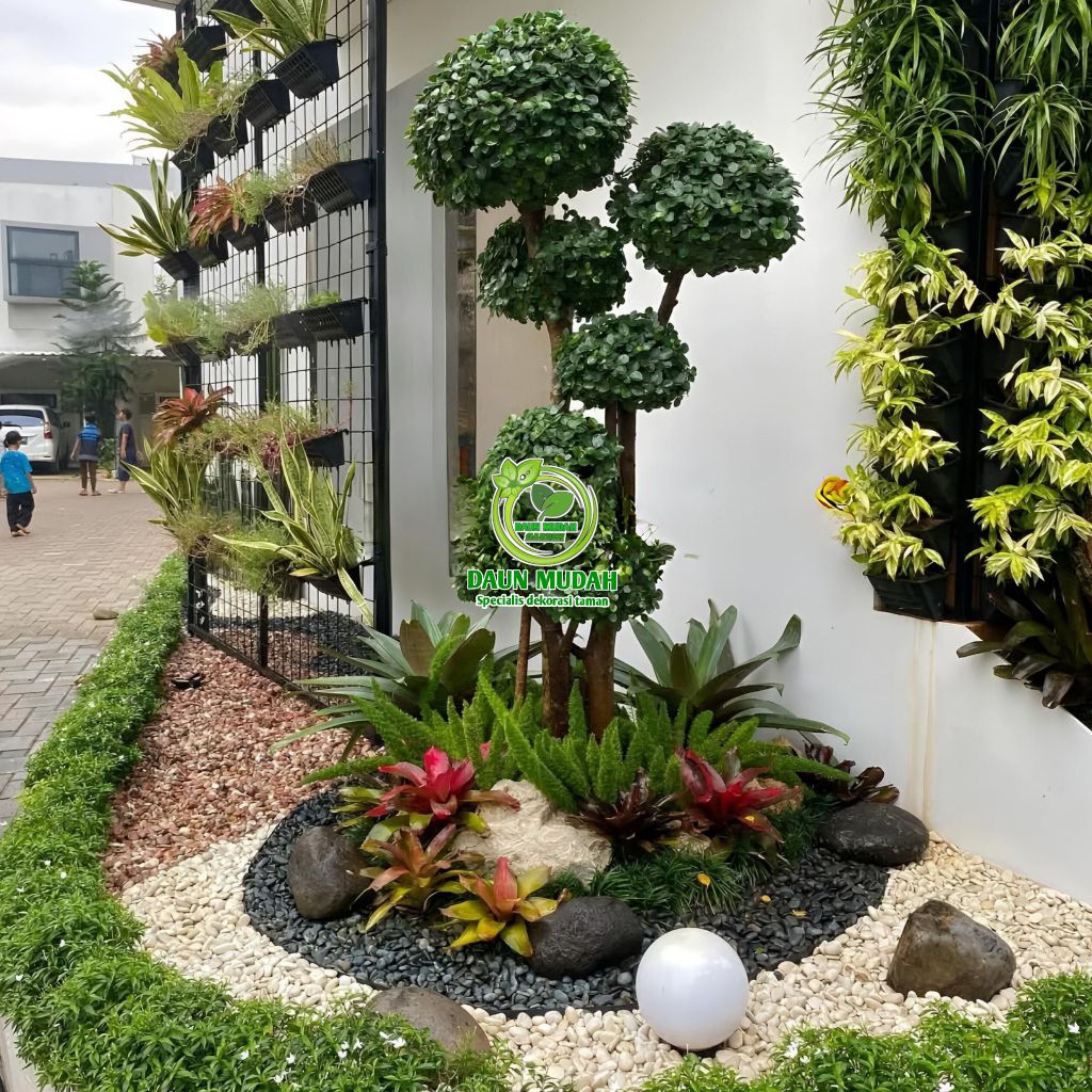 taman kering kombinasi bonsai beringin korea / bonsai dolar mikro