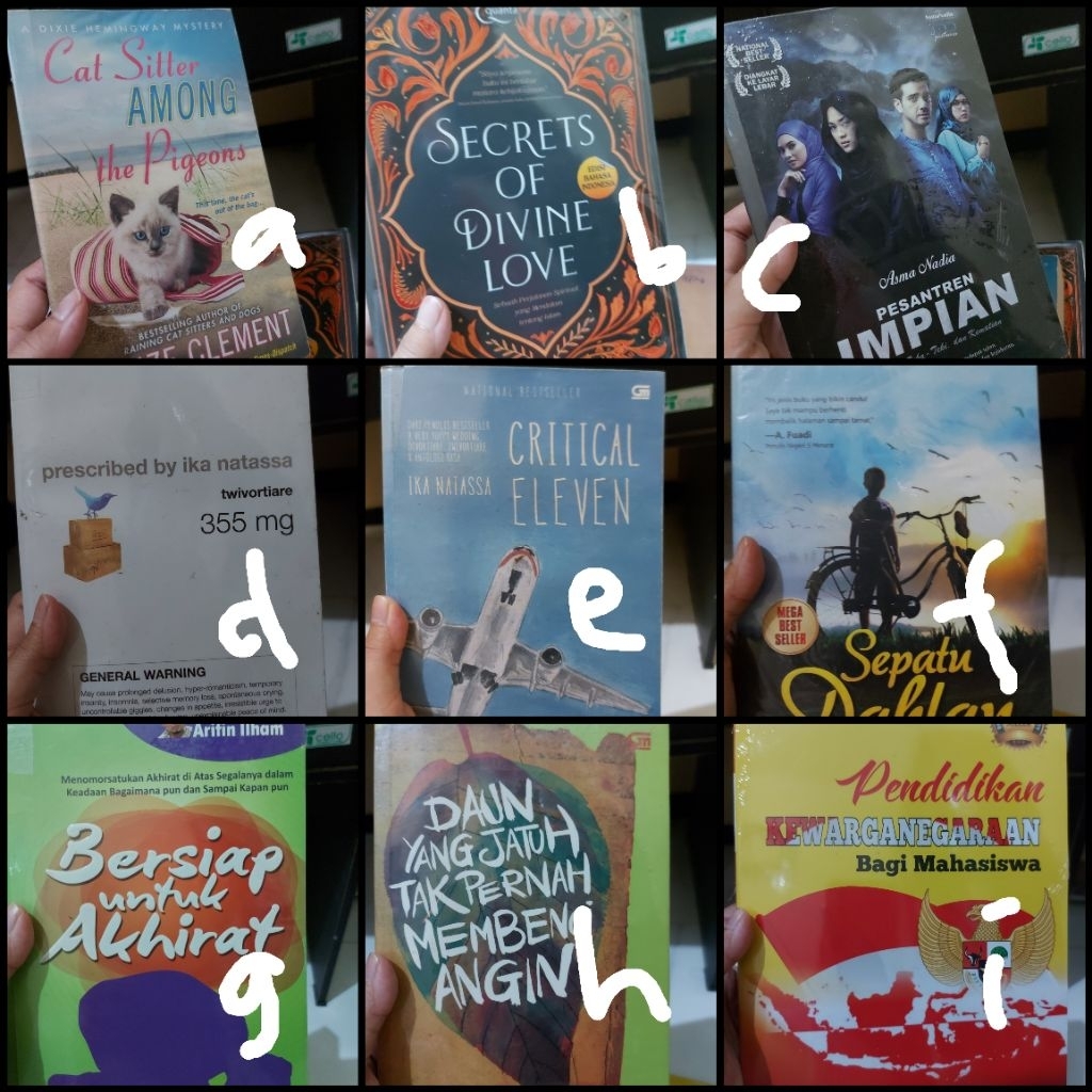preloved critical eleven daun yang jatuh pesantren impian pkn umm secret divine of love sepatu dahla