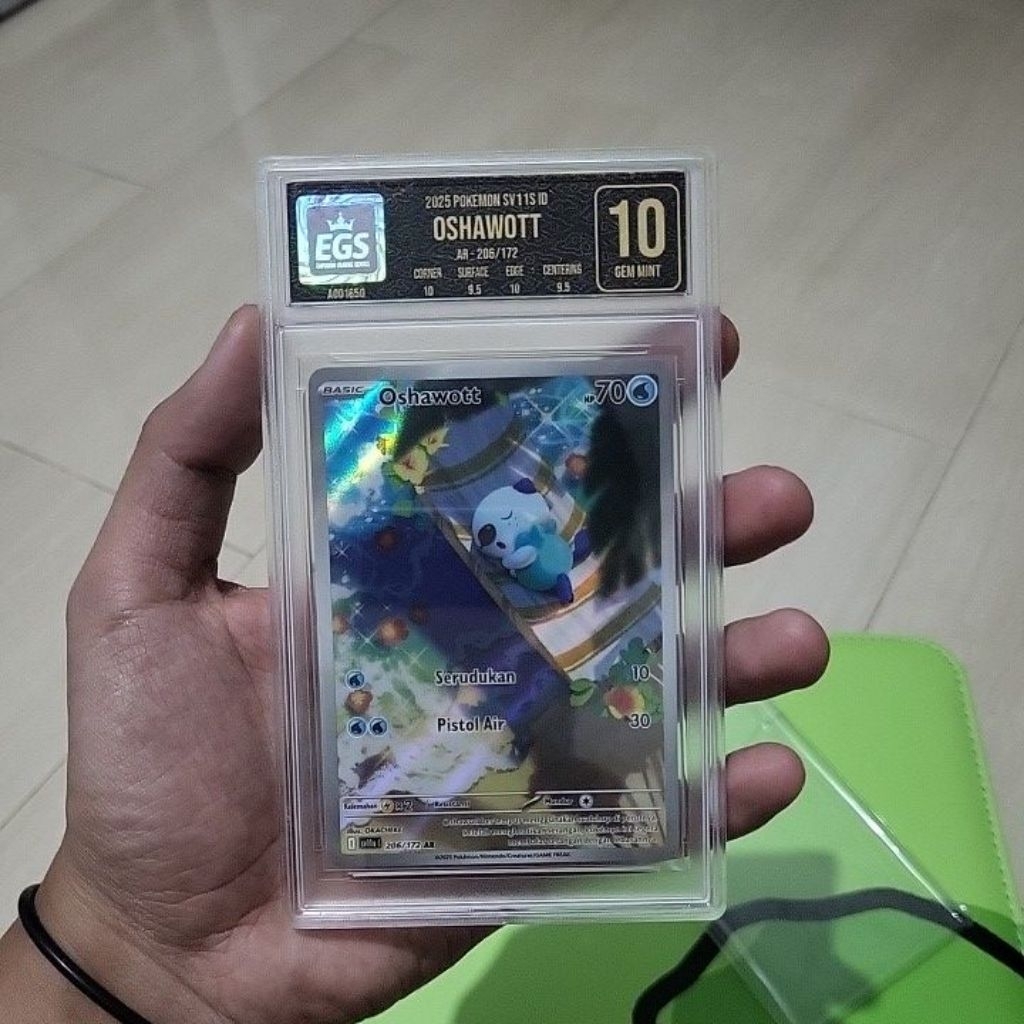 Oshawott 206/172 AR EGS 10