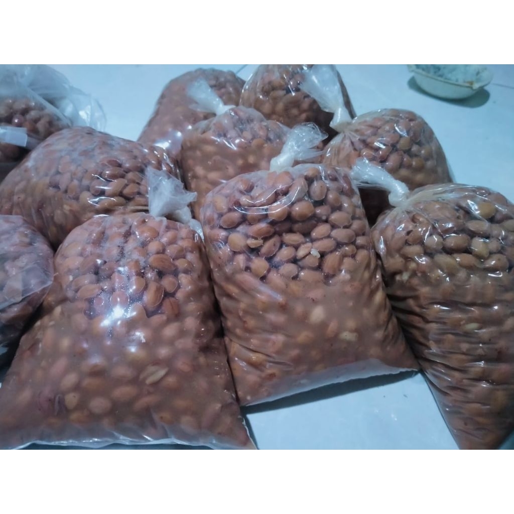 kacang presto umpan bawal siap pakai
