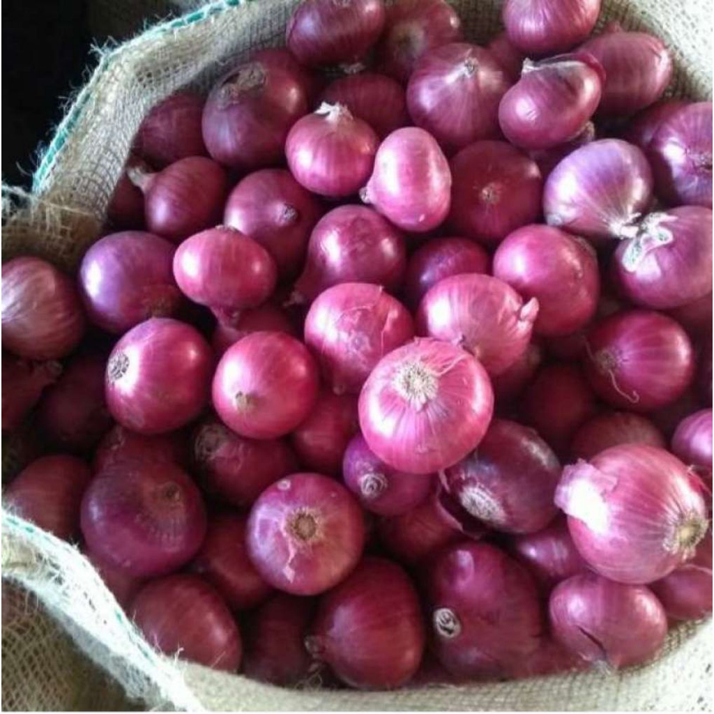 1kg bawang merah india atau bawang merah pecking india