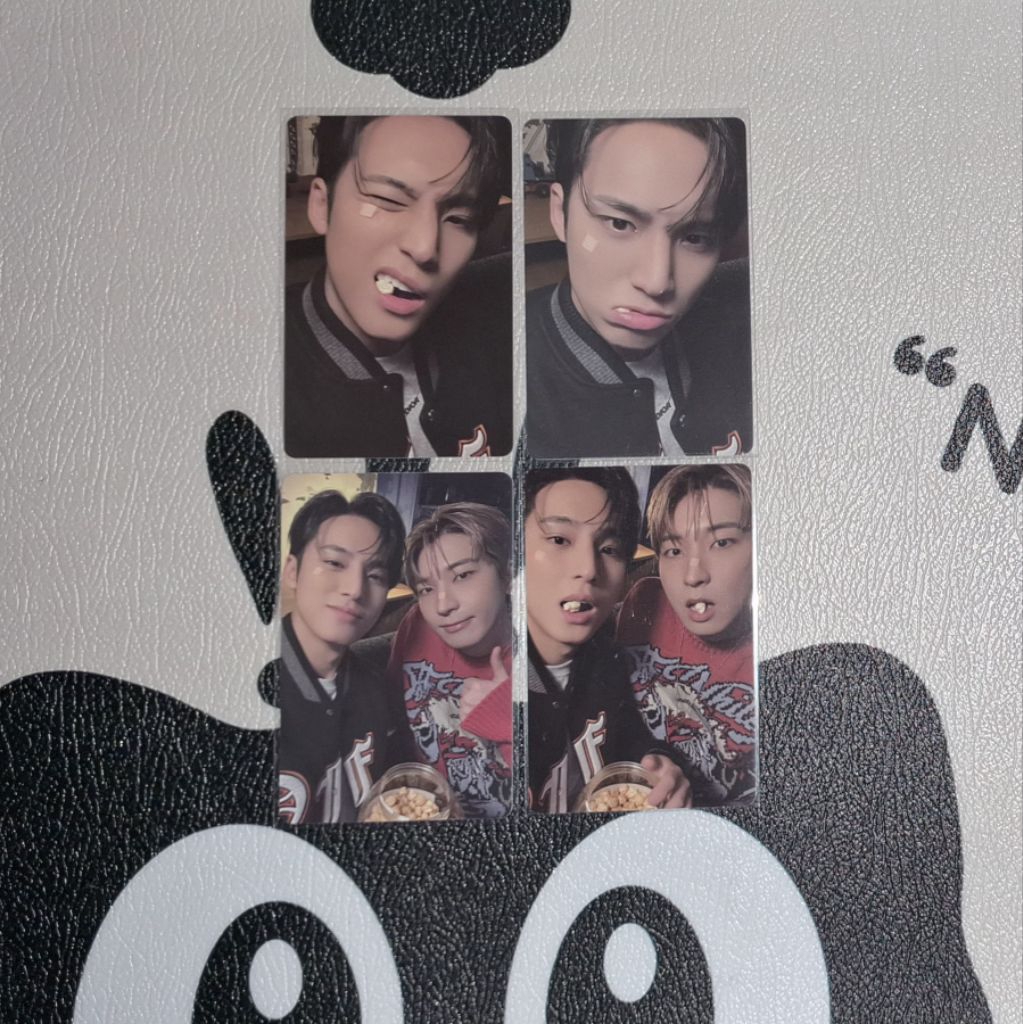 (Take all only) Seventeen Wonwoo Mingyu Dicon SVT