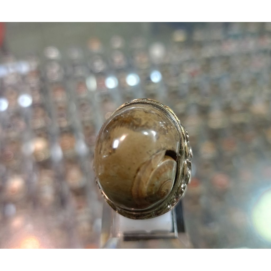 Cincin Fosil keong/kol buntet (natural)