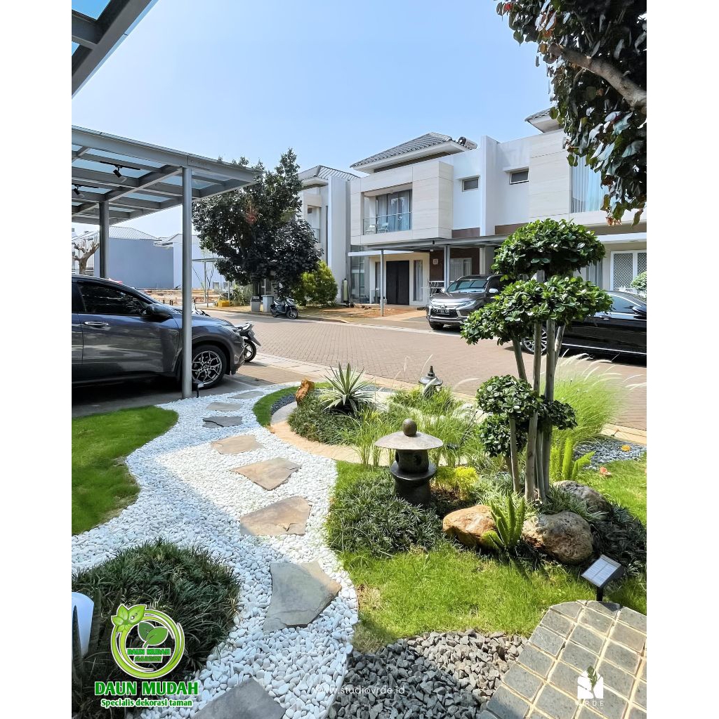 taman kering bonsai beringin dolar mikro / taman outdoor