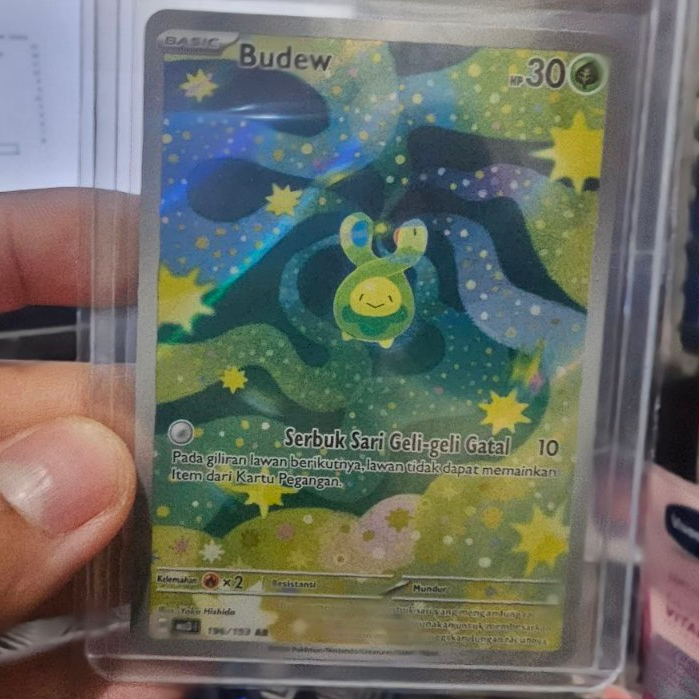 Budew AR Mega Impian ID