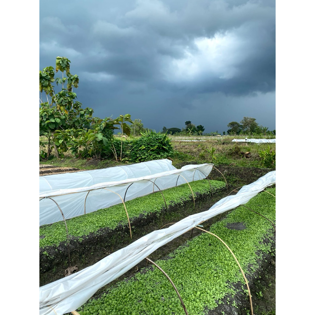 plastik pembibitan/bedengan aneka tanaman