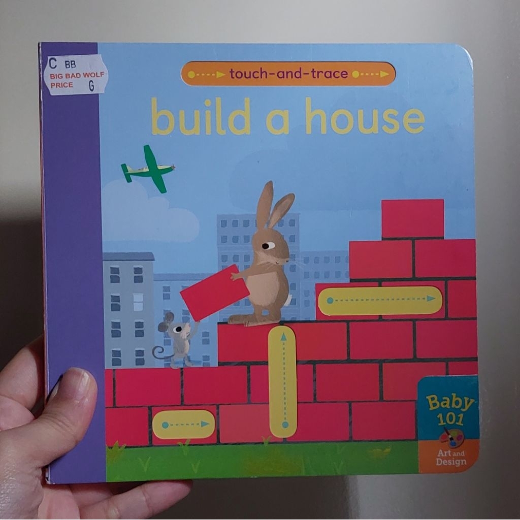 Baby 101 Build A House