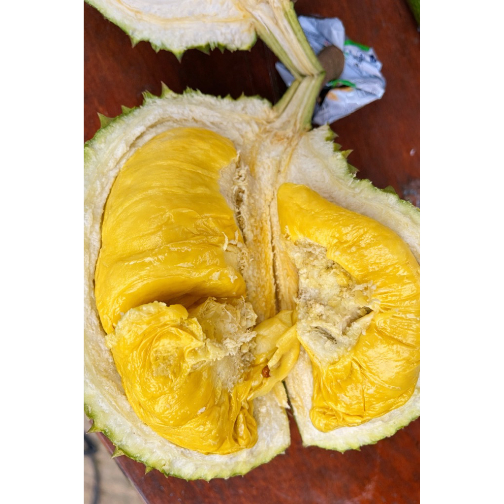 durian musangking