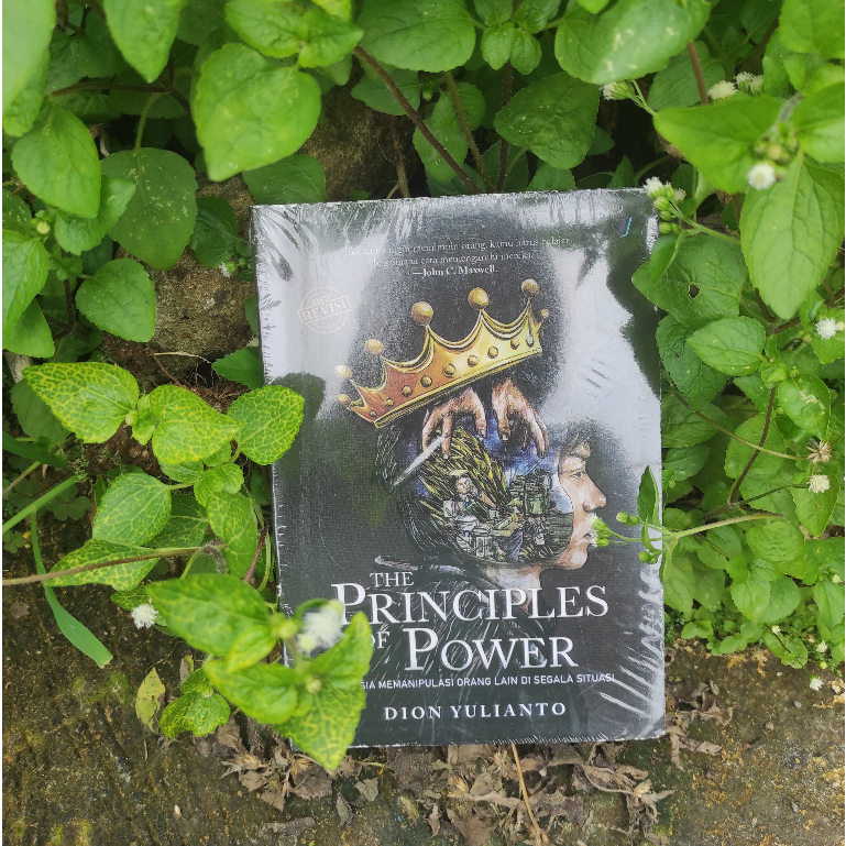 Buku The Principles of Power New Original
