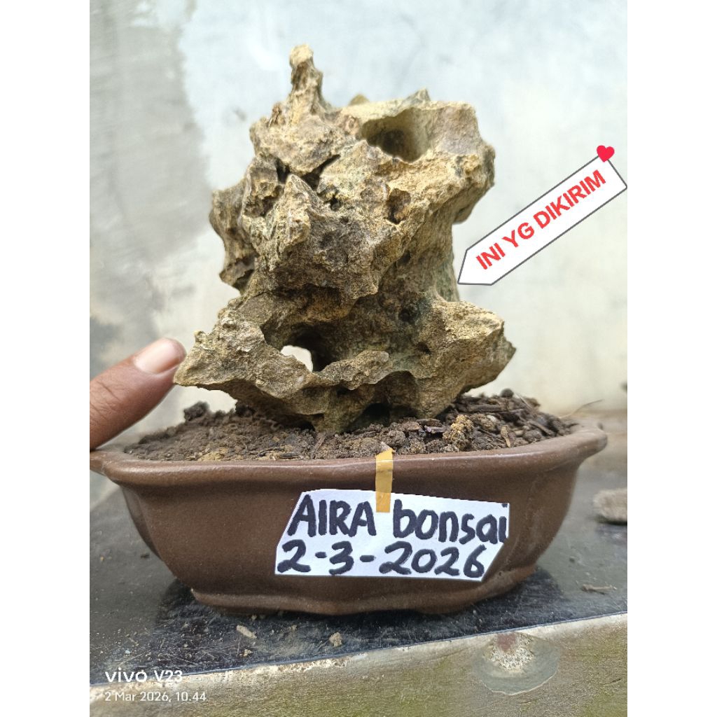 batu untuk bonsai penjing