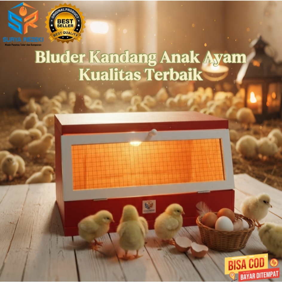 kandang anak ayam inkubator