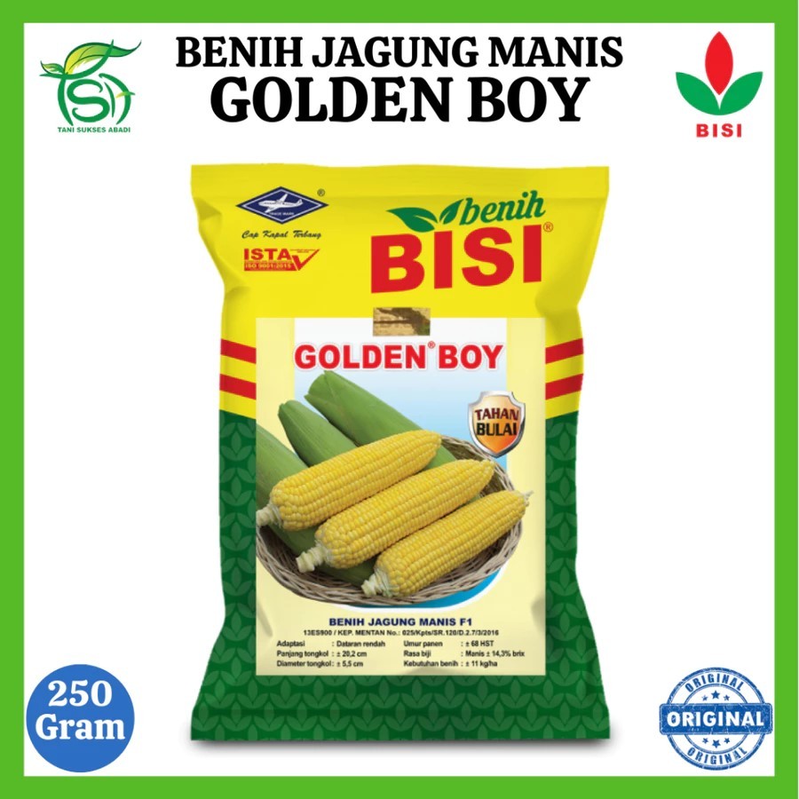 Benih Jagung Manis Golden boy 250gr
