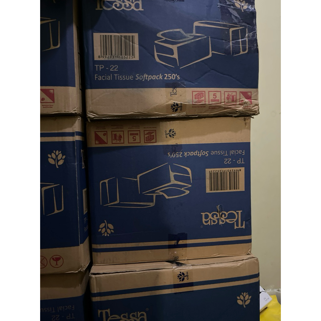 Karton Tisu Tessa 250 sheet TP 22 1 karton isi 40 pcs