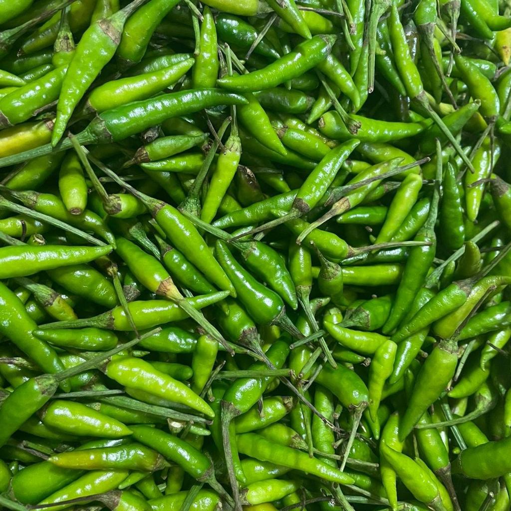 Cabai rawit hijau segar | Cabai rawit lalap | cabai rawit