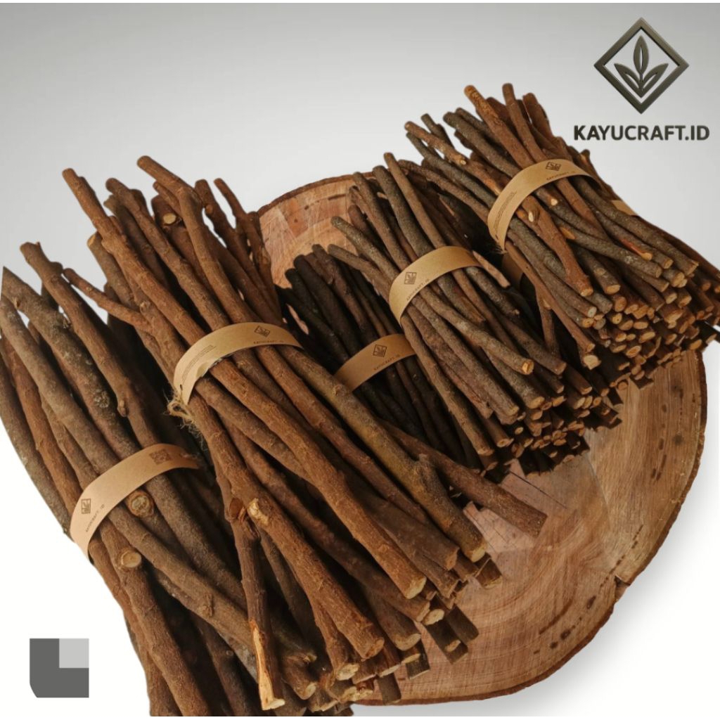 Ranting kayu jambu mete panjang 20-30 cm