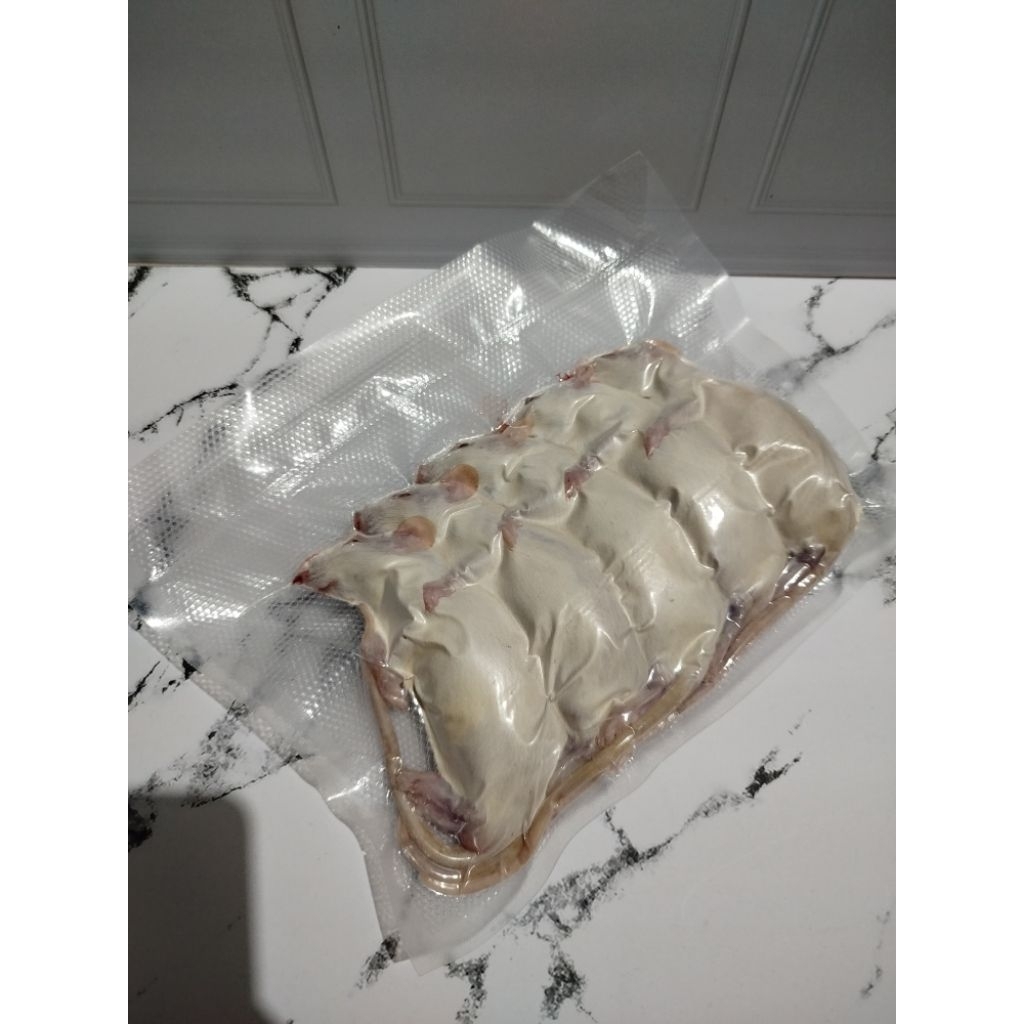 tikus putih Rat frozen